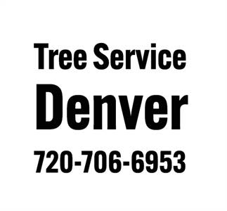 Tree Service Denver