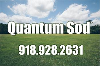 Quantum Sod