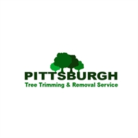 Tree Service Pittsburgh Adam Nurse