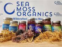 Sea Moss Organics SeaMoss Organics